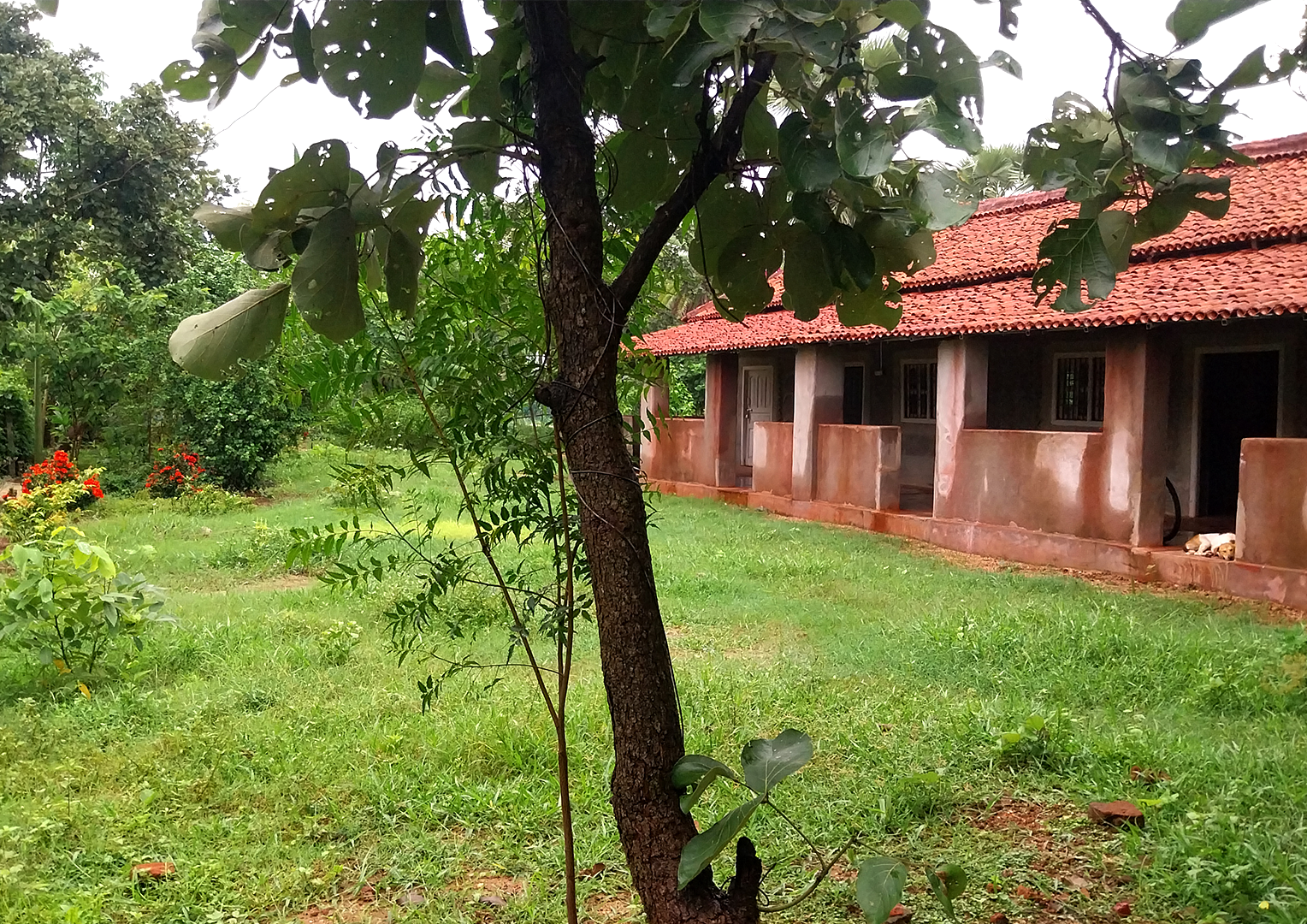 Living Canvas Art Space